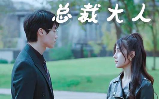 我的总裁大人 第21-40集