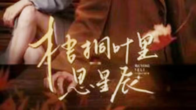梧桐叶里思星辰 第1-20集