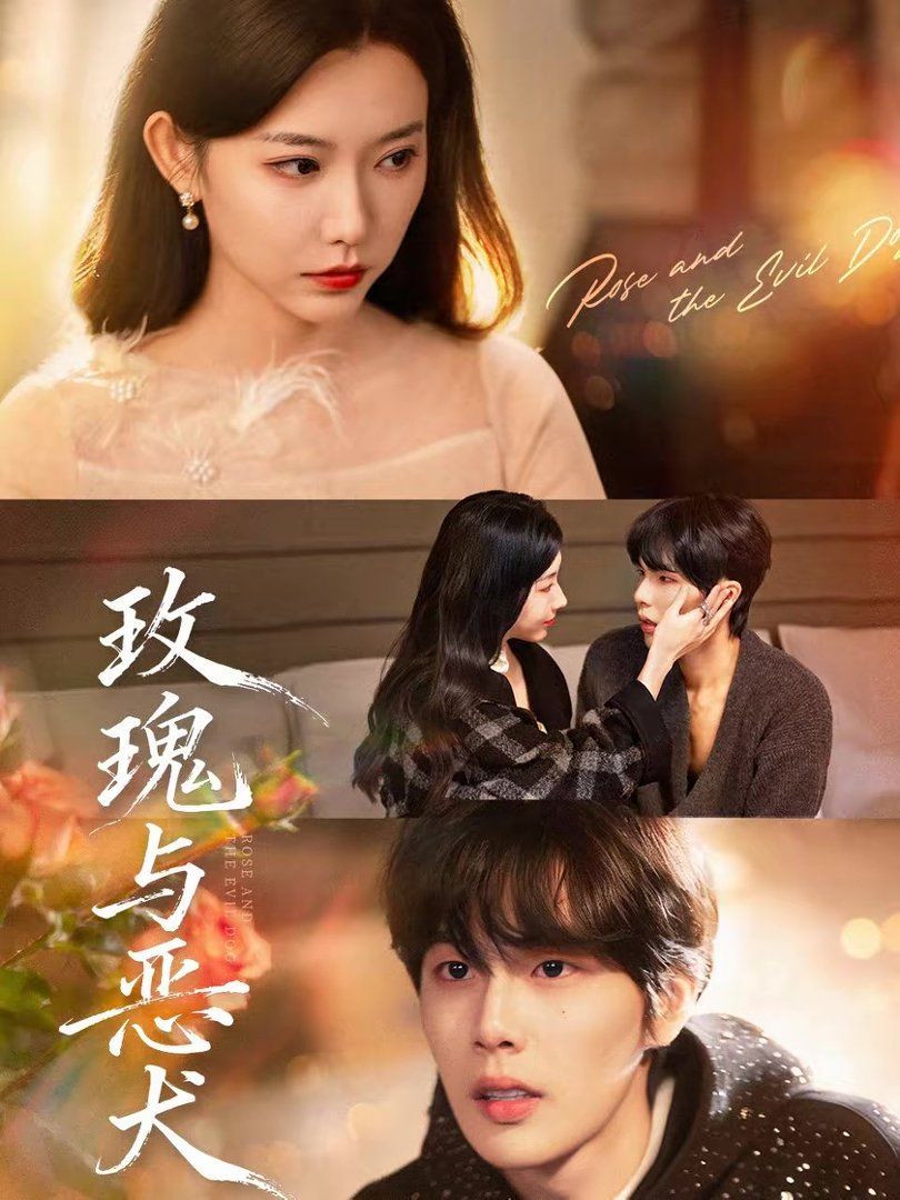 玫瑰与恶犬(全集)